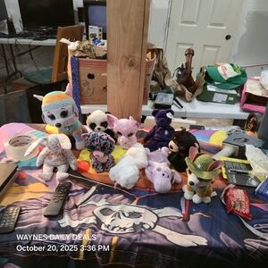 Ty Multicolor Stuffed Animal Bundle 6 Beanie Baby 5 Other Ty Plushes